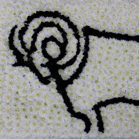 Derby County Funeral Flowers