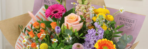 Summer Flowers